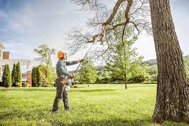  , MT Tree Services Pros